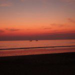 DSC02206
