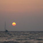 DSC02919