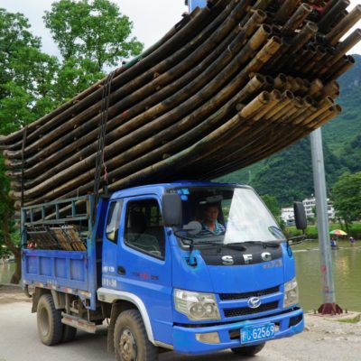 Bamboo Transport