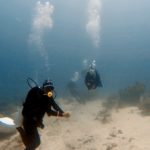 DCIM100GOPROGOPR1345.