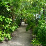 DSC08248