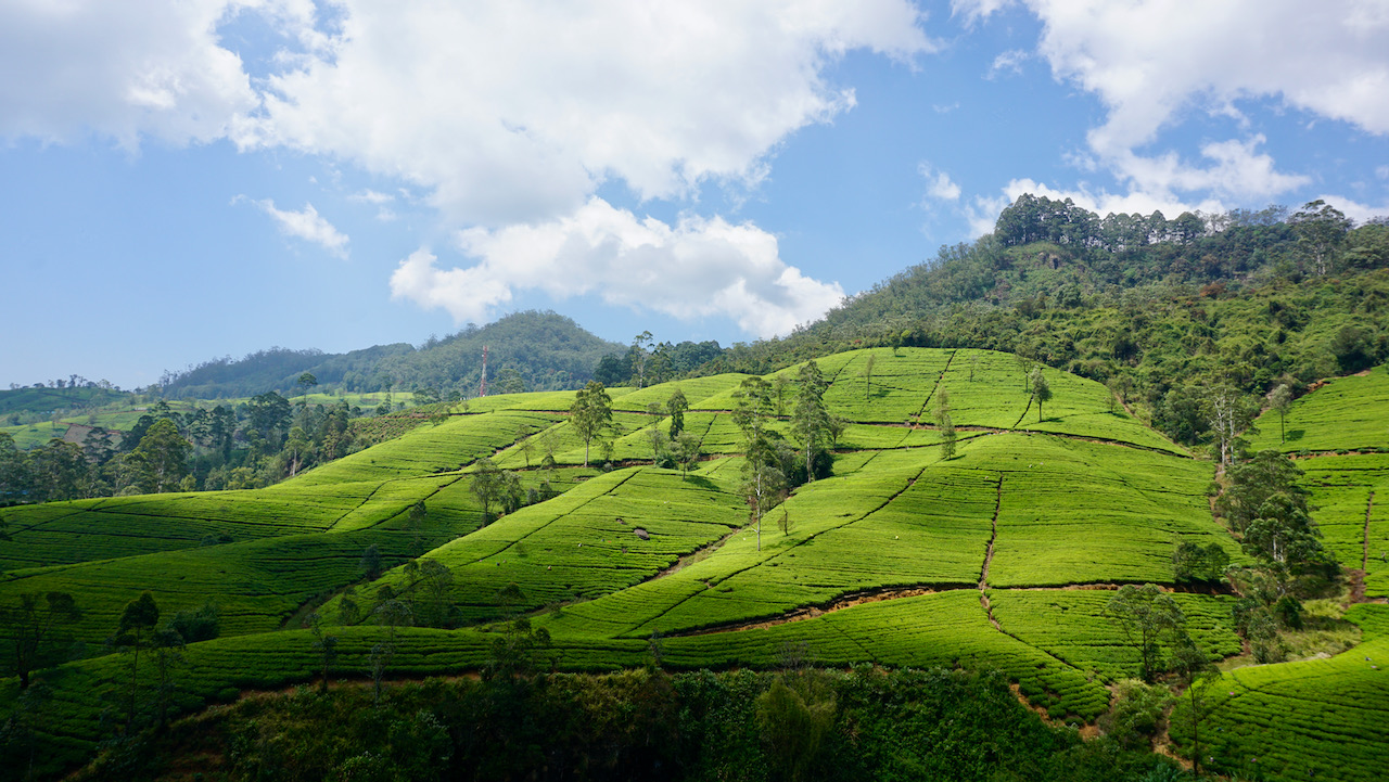 Reisetag von Dalhousie nach Nuwara Eliya im Video
