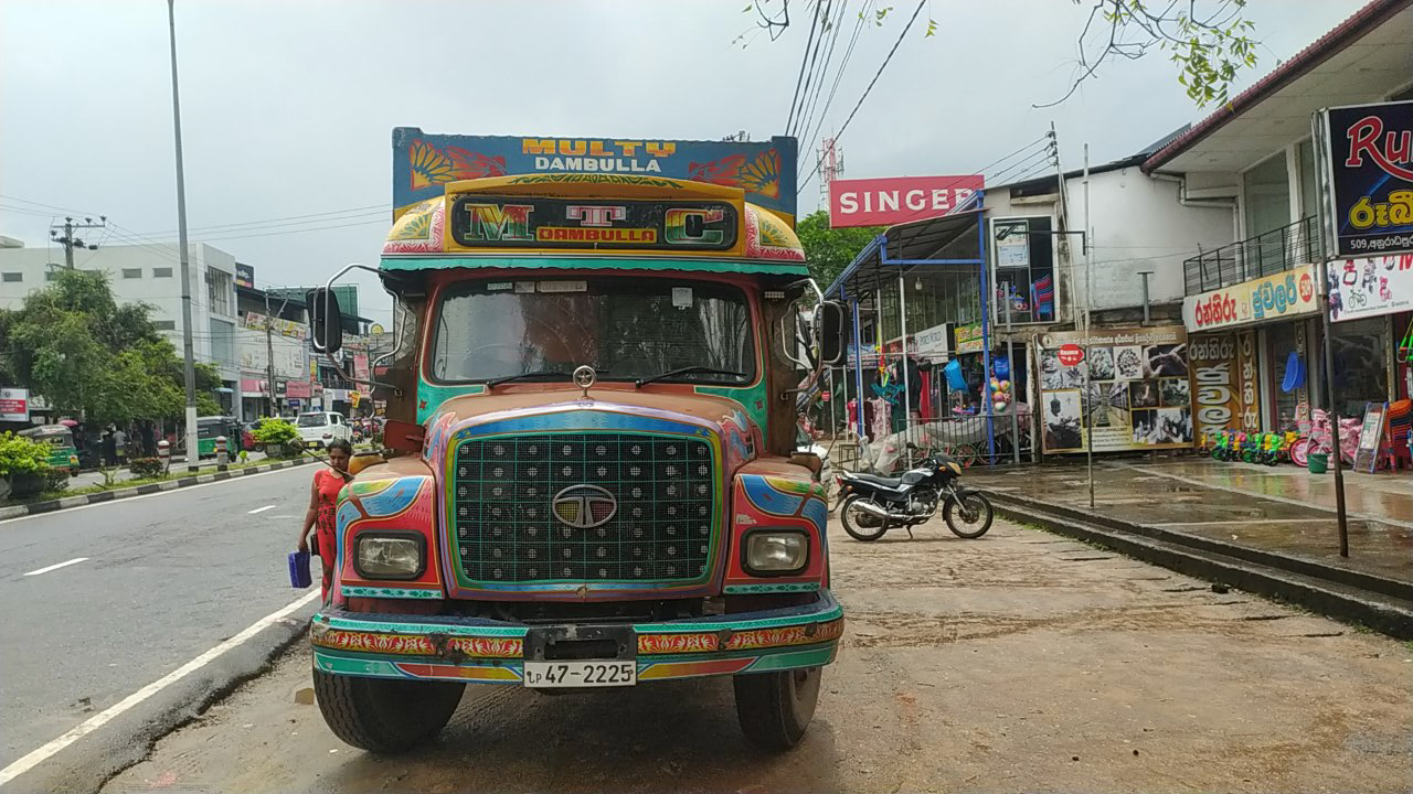 Reisetag von Anuradhapura nach Habarana