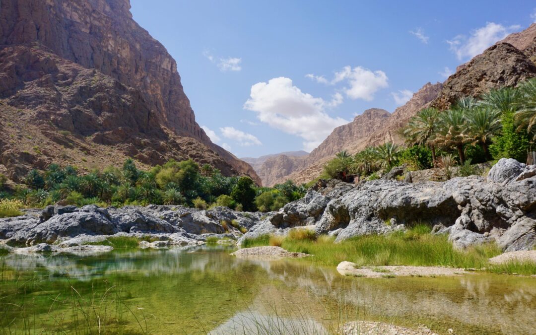 Es folgt in Kürze/Ausflug zum Wadi Al Arbeieen