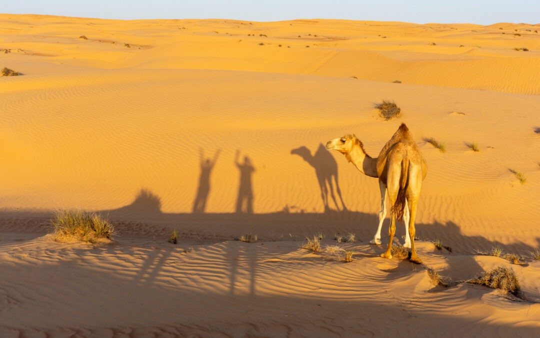 Aus aktuellem Anlass